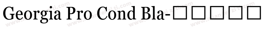 Georgia Pro Cond Bla字体转换
